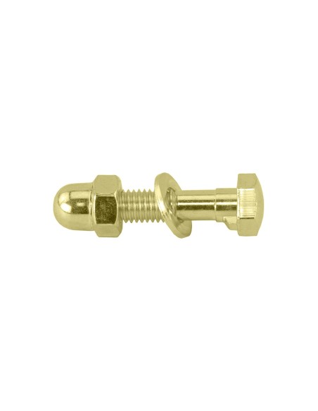 Seatpost Binder Bolt & Nut Hex Head Gold.
